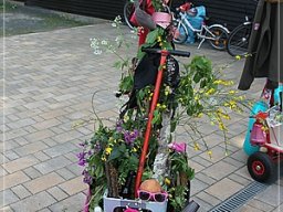 016 Bosseln 06.05.2017